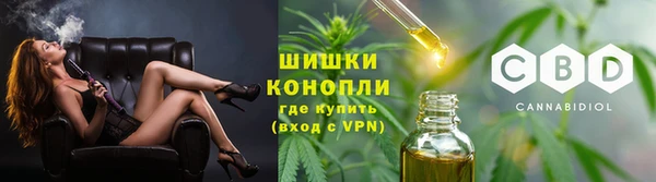кокаин Белокуриха